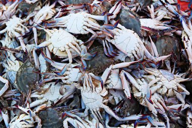 Kore 'nin deniz ürünleri pazarı.