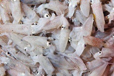 Kore 'nin deniz ürünleri pazarı.