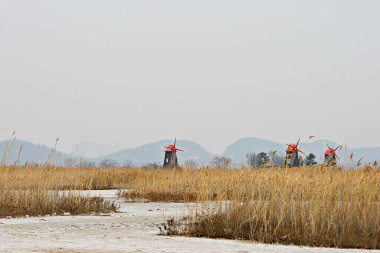 Kore parkının manzarası.