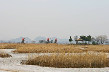Kore parkının manzarası.