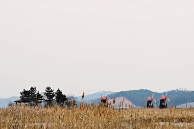 Kore parkının manzarası.