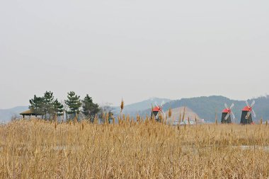 Kore parkının manzarası.