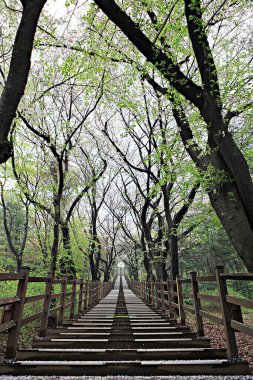 Kore parkının manzarası.