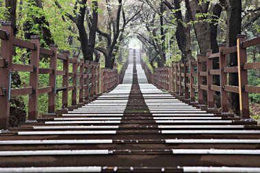 Kore parkının manzarası.