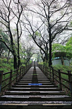 Kore parkının manzarası.