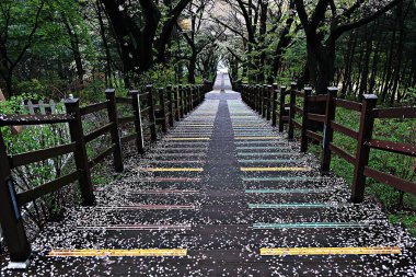 Kore parkının manzarası.