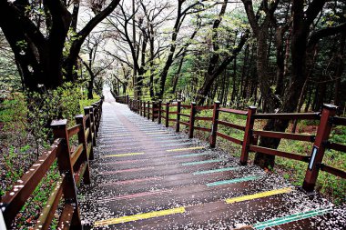 Kore parkının manzarası.