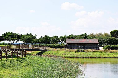 Kore parkının manzarası.