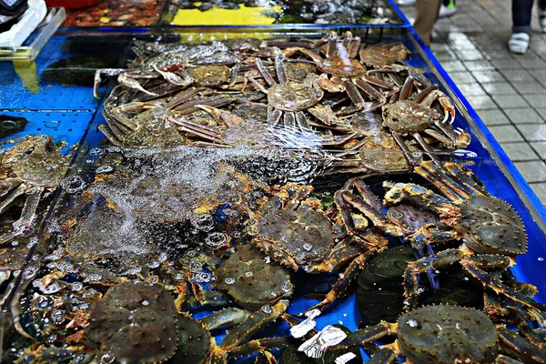 Koreaanse Markt Voor Zeevruchten — Stockfoto