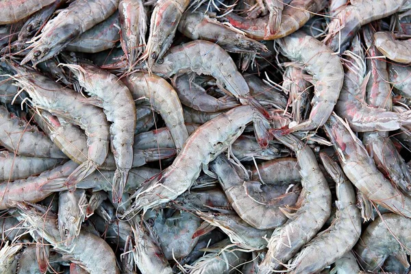 Mercado Mariscos Corea — Foto de Stock