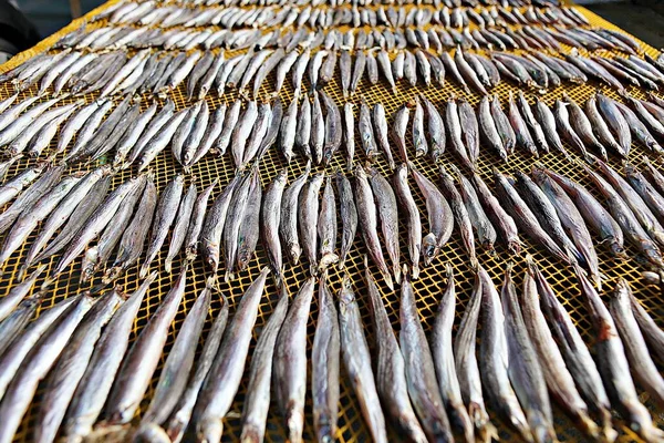 Korejský Trh Mořskými Plody — Stock fotografie
