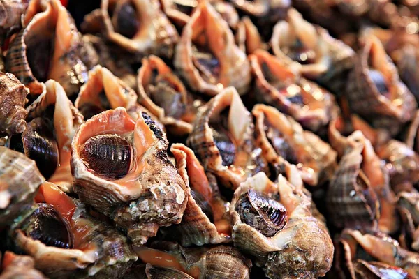 Korejský Trh Mořskými Plody — Stock fotografie