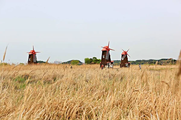 Kore Parkının Manzarası — Stok fotoğraf