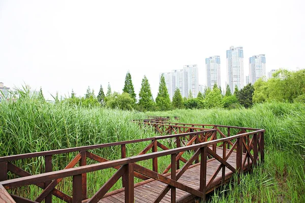 Landscape Korean Park — Stock Photo, Image