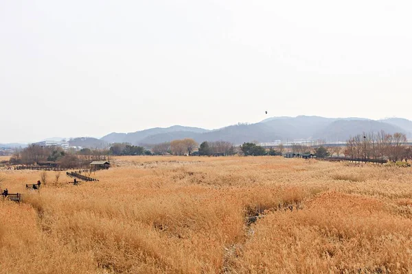 Ist Eine Landschaft Eines Koreanischen Parks — Stockfoto