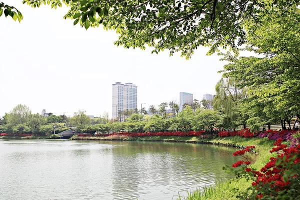 Είναι Τοπίο Ενός Κορεατικού Πάρκου — Φωτογραφία Αρχείου