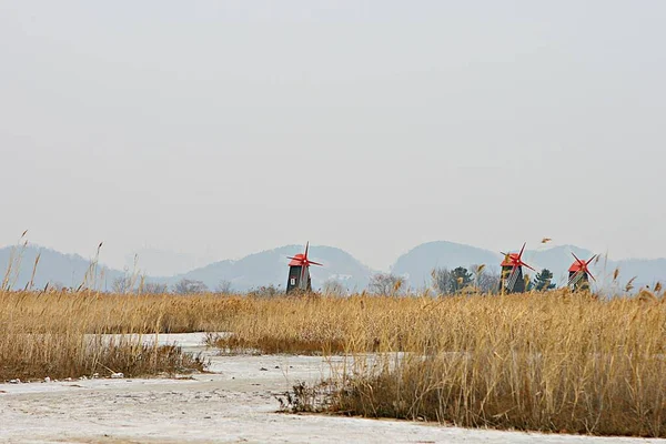 Kore parkının manzarası.