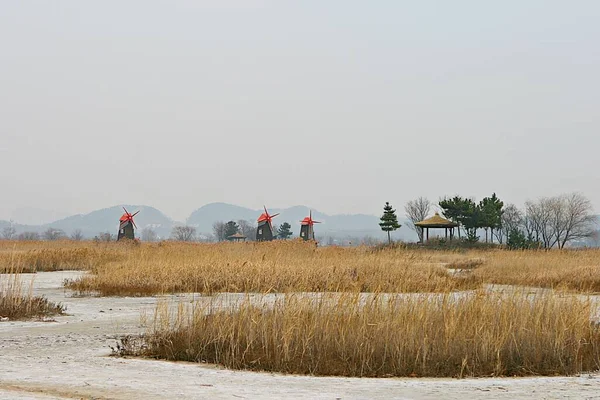 Kore parkının manzarası.