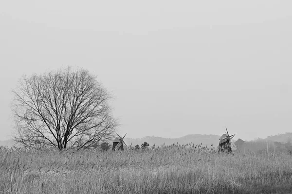 韓国の公園の風景です — ストック写真