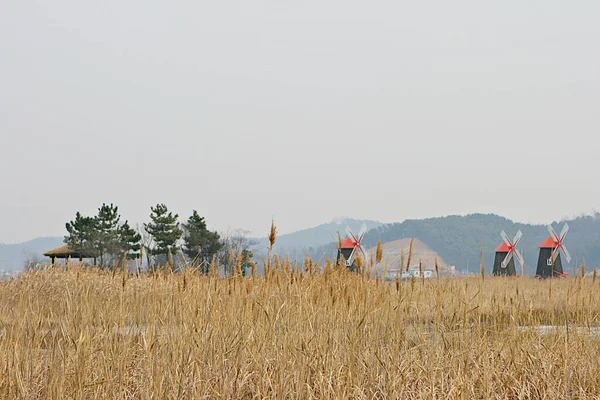 Kore parkının manzarası.