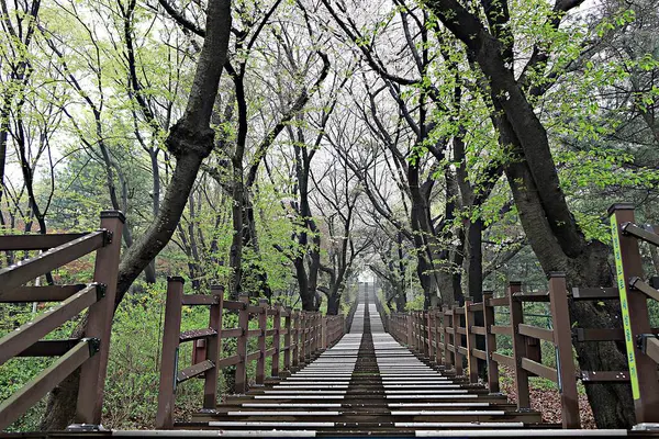 Paisaje Parque Coreano — Foto de Stock