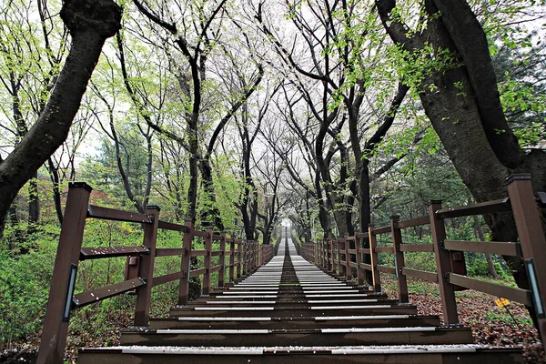 Kore parkının manzarası.