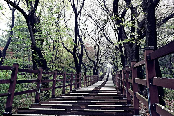 Uma Paisagem Parque Coreano — Fotografia de Stock