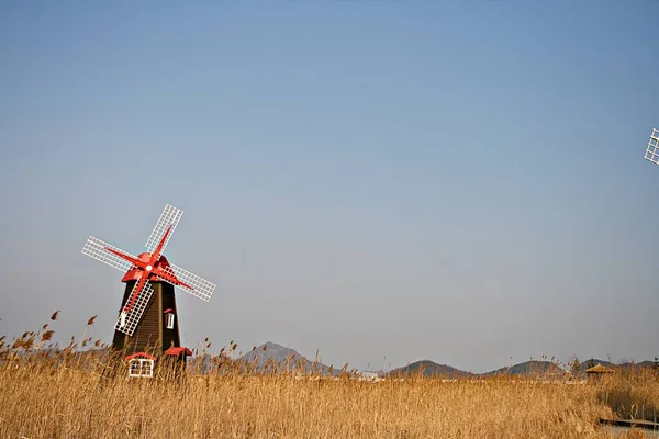 Uma Paisagem Parque Coreano — Fotografia de Stock