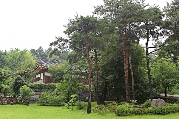 Korea Vor Feinden Verteidigen Ist Der Kock Saur — Stockfoto