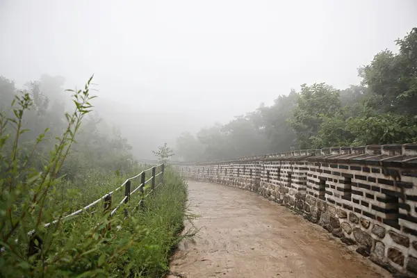 Για Υπερασπιστεί Την Κορέα Από Τους Εχθρούς Skock Είναι Οξύ — Φωτογραφία Αρχείου