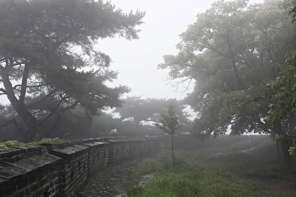 För Att Försvara Korea Från Fiender Skock Syra — Stockfoto