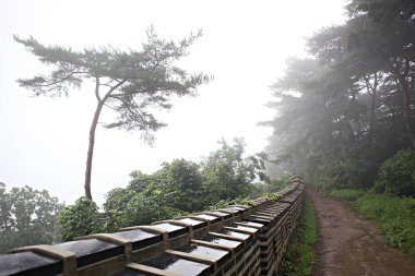 Kore 'yi düşmanlardan korumak için asit kullanırız.