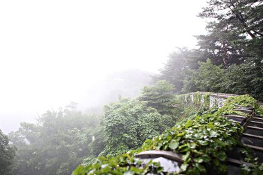 Kore 'yi düşmanlardan korumak için asit kullanırız.