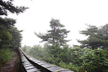 Kore 'yi düşmanlardan korumak için asit kullanırız.