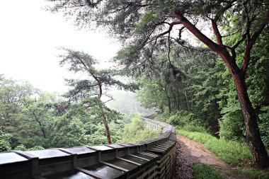 Kore 'yi düşmanlardan korumak için asit kullanırız.
