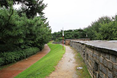Kore 'yi düşmanlardan korumak için şok asit gibidir.