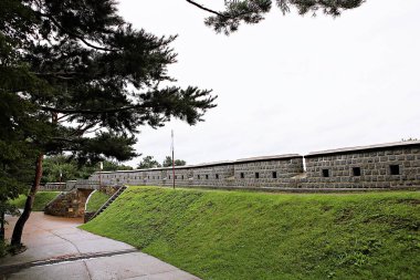 Kore 'yi düşmanlardan korumak için şok asit gibidir.