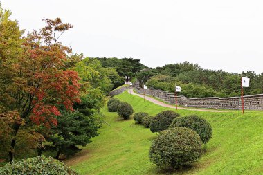 Kore 'yi düşmanlardan korumak için şok asit gibidir.