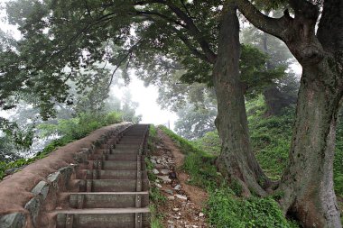 Kore 'yi düşmanlardan korumak için şok asit gibidir.