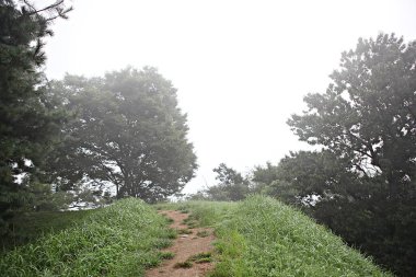 Kore 'yi düşmanlardan korumak için şok asit gibidir.