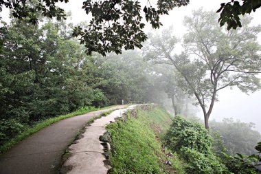 Kore 'yi düşmanlardan korumak için şok asit gibidir.