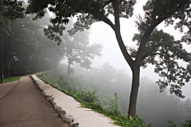 Kore 'yi düşmanlardan korumak için şok asit gibidir.