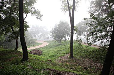 Kore 'yi düşmanlardan korumak için şok asit gibidir.
