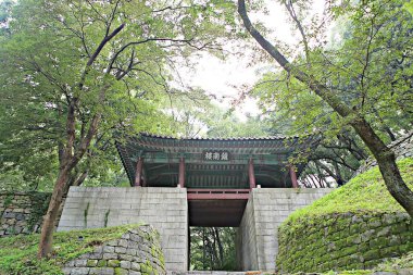 Kore 'yi düşmanlardan korumak için şok asit gibidir.