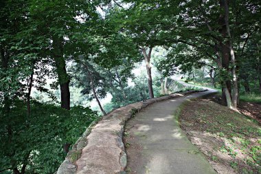 Kore 'yi düşmanlardan korumak için şok asit gibidir.