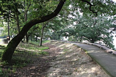 Kore 'yi düşmanlardan korumak için şok asit gibidir.