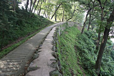 Kore 'yi düşmanlardan korumak için şok asit gibidir.