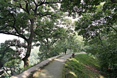 Kore 'yi düşmanlardan korumak için şok asit gibidir.