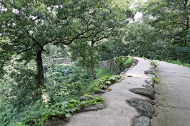 Kore 'yi düşmanlardan korumak için şok asit gibidir.