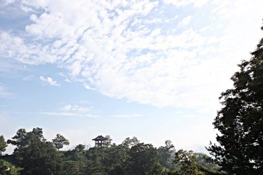 Kore 'yi düşmanlardan korumak için şok asit gibidir.